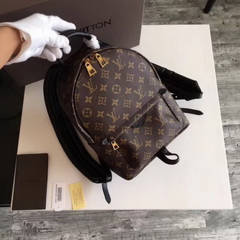 Louis Vuitton Monogram Canvas PALM SPRINGS BACKPACK PM M41560 Louis Vuitton Monogram Canvas PALM SPRINGS BACKPACK PM M41560