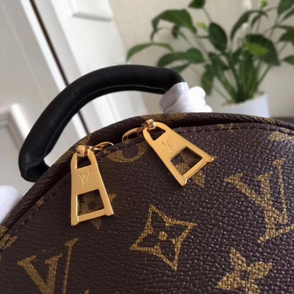 Louis Vuitton Monogram Canvas PALM SPRINGS BACKPACK PM M41560 Louis Vuitton Monogram Canvas PALM SPRINGS BACKPACK PM M41560