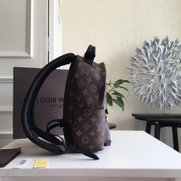 Louis Vuitton Monogram Canvas PALM SPRINGS BACKPACK PM M41560 Louis Vuitton Monogram Canvas PALM SPRINGS BACKPACK PM M41560