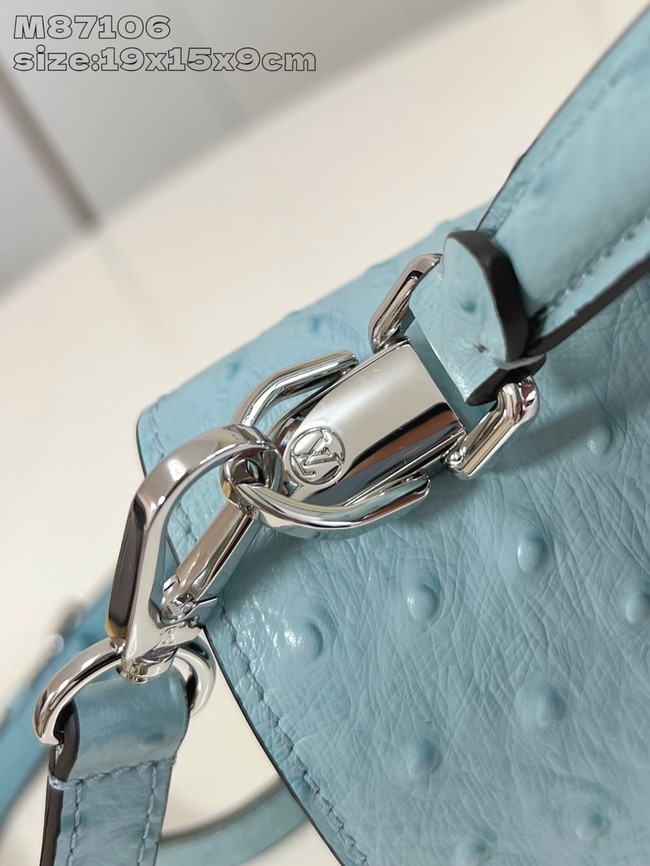 Louis Vuitton small Grained Calfskin M84713 light blue