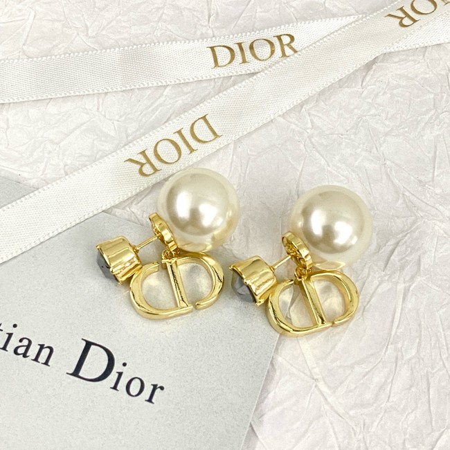 Dior Earring CE81007