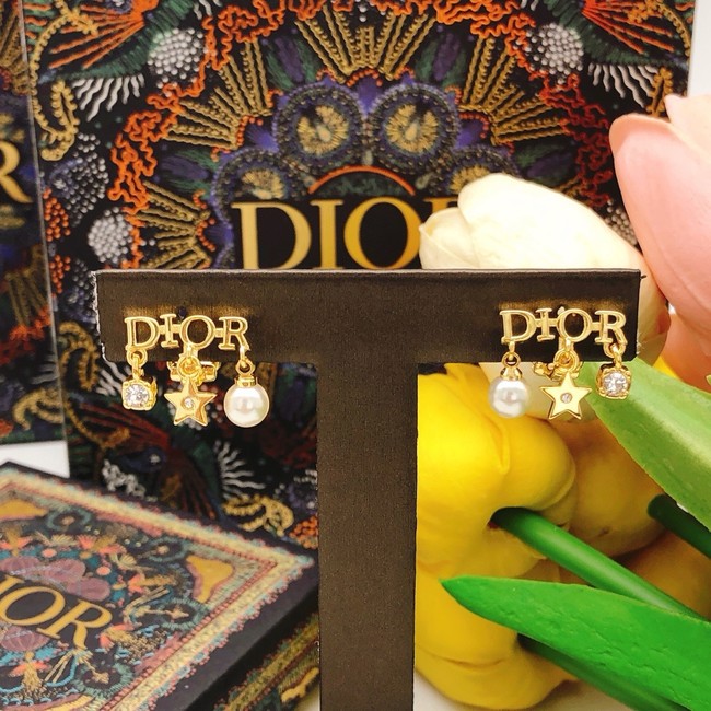 Dior Earring CE81881