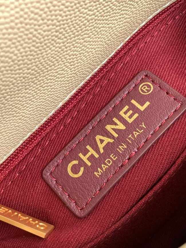 Chanel MINI FLAP BAG WITH TOP HANDLE AS2215-3