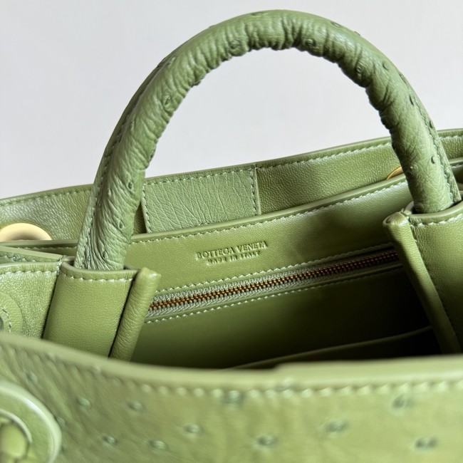 Bottega Veneta Small Andiamo 805231 Mud