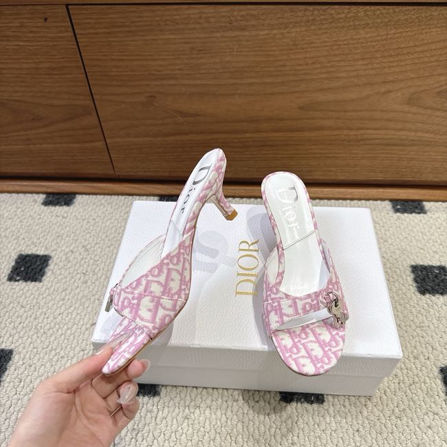 Dior Mules 64234-1