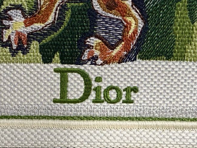 Small Dior Book Tote with Strap Embroidery M1404OE green Small Dior Book Tote with Strap Embroidery M1404OE green