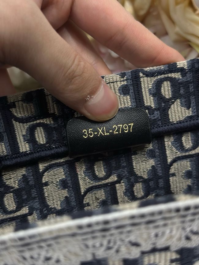 Small Dior Book Tote with Strap Embroidered M1404OE-5