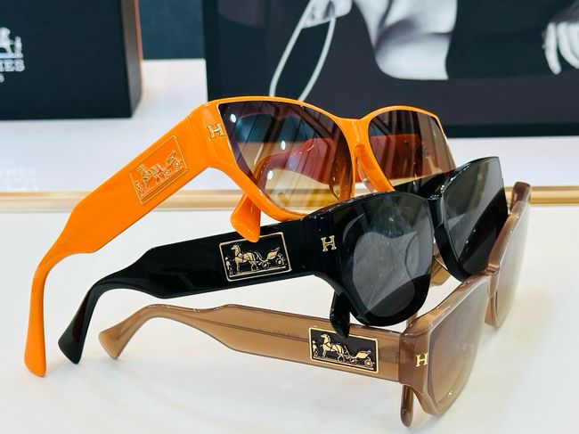 Hermes Sunglasses 821518-6 Hermes Sunglasses 821518-6