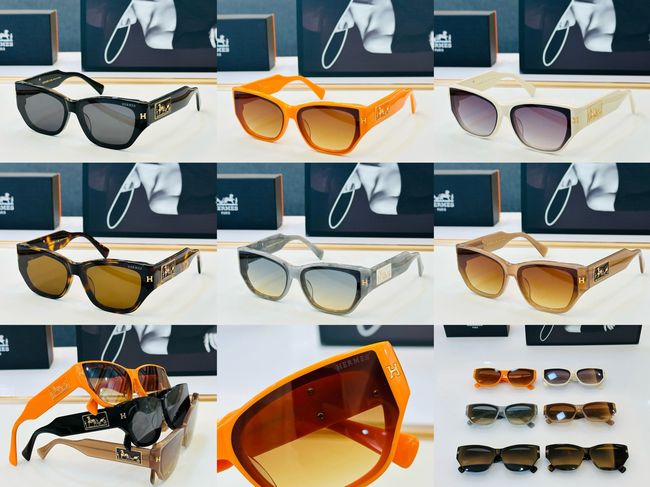 Hermes Sunglasses 821518-6 Hermes Sunglasses 821518-6