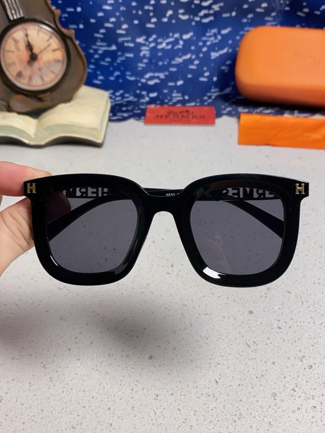 Hermes Sunglasses 821519-2 Hermes Sunglasses 821519-2