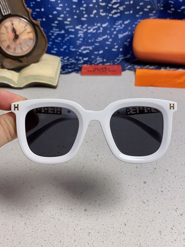 Hermes Sunglasses 821519-4 Hermes Sunglasses 821519-4