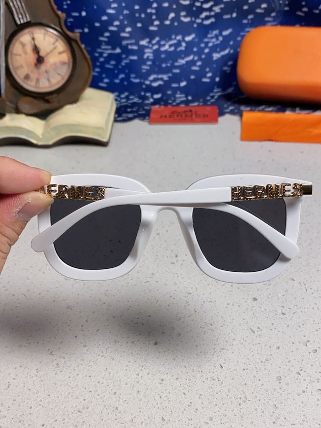 Hermes Sunglasses 821519-4 Hermes Sunglasses 821519-4