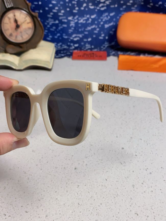 Hermes Sunglasses 821519-5 Hermes Sunglasses 821519-5
