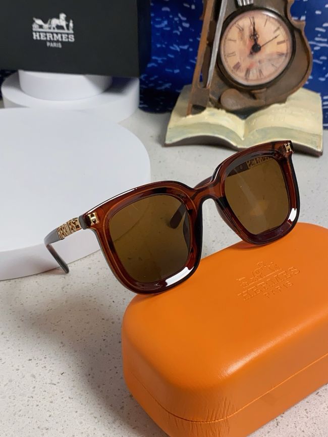 Hermes Sunglasses 821519-7 Hermes Sunglasses 821519-7