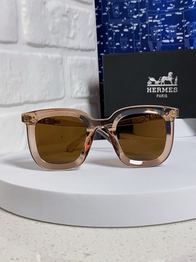 Hermes Sunglasses 821519-9 Hermes Sunglasses 821519-9
