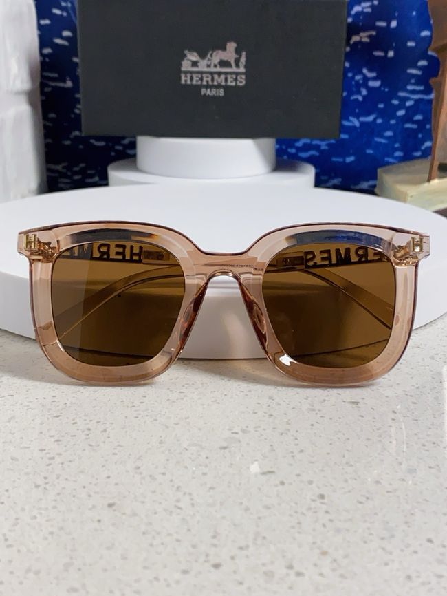 Hermes Sunglasses 821519-9 Hermes Sunglasses 821519-9