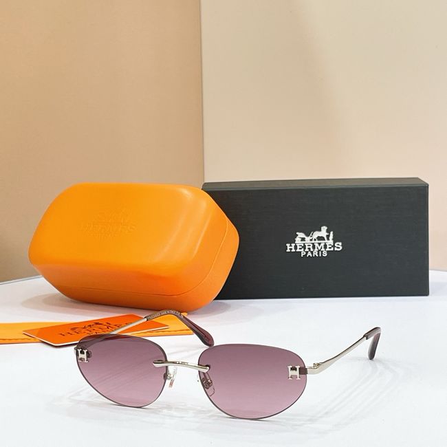 Hermes Sunglasses 821520-8