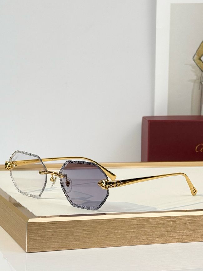 Gucci Sunglasses 821546-7 Gucci Sunglasses 821546-7