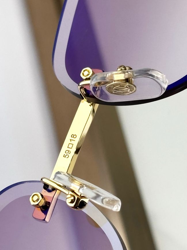 Cartier Sunglasses 821571-3 Cartier Sunglasses 821571-3