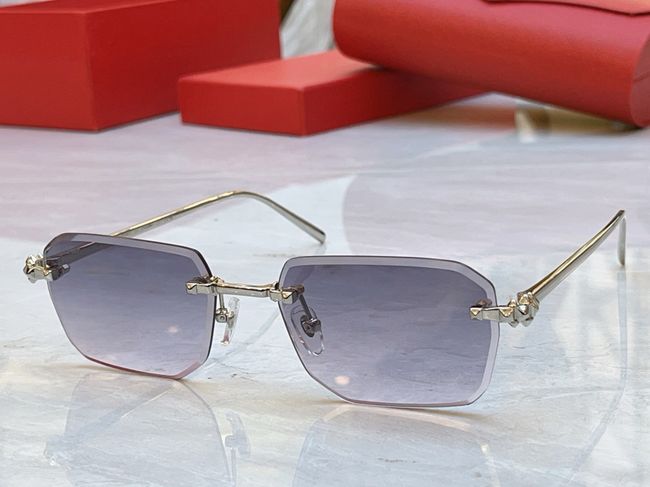 Cartier Sunglasses 821575-6 Cartier Sunglasses 821575-6