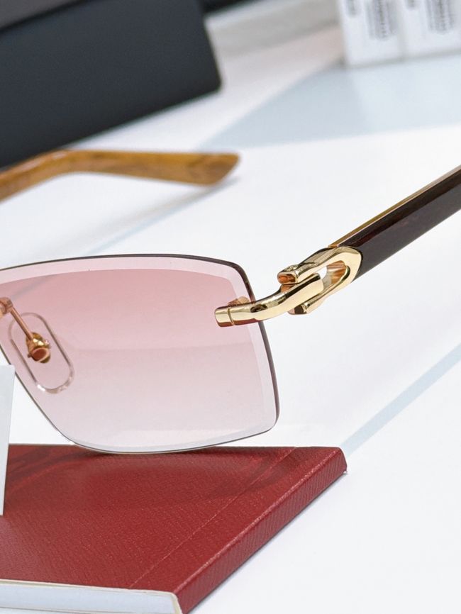 Cartier Sunglasses 821578-5 Cartier Sunglasses 821578-5