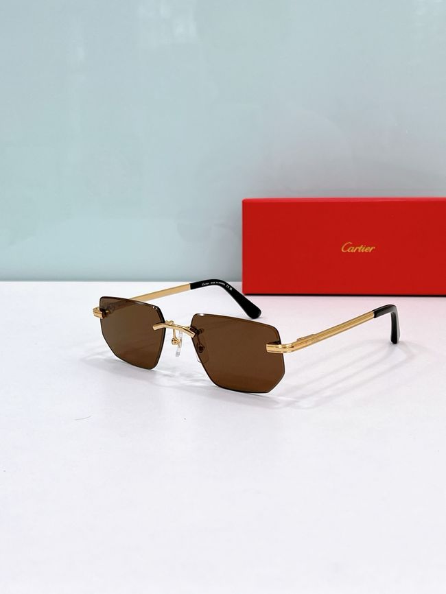 Cartier Sunglasses 821579-5