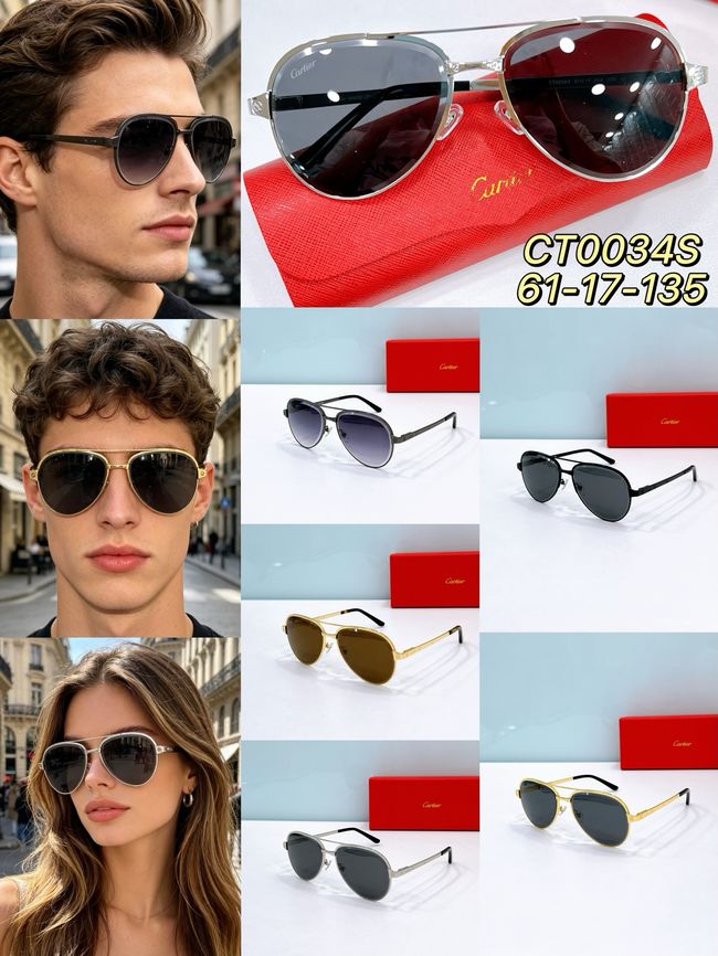 Cartier Sunglasses 821581-3