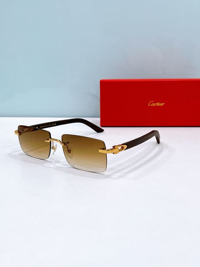 Cartier Sunglasses 821587-6
