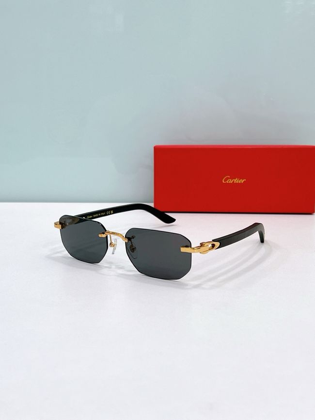 Cartier Sunglasses 821588-6