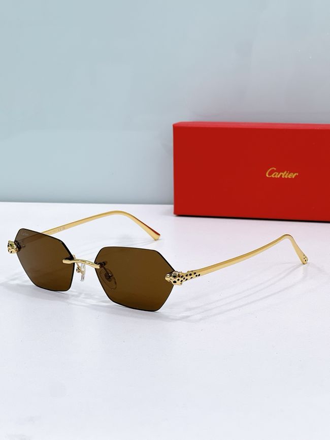 Cartier Sunglasses 821595-5