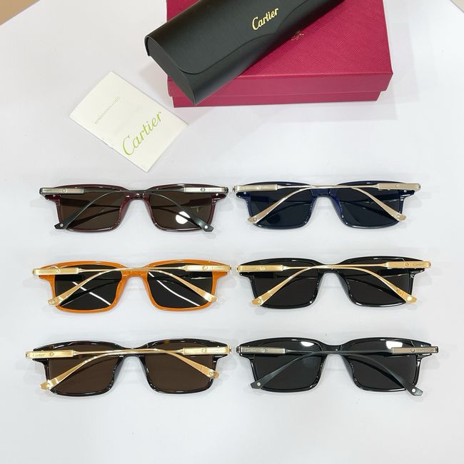 Cartier Sunglasses 821597-6 Cartier Sunglasses 821597-6