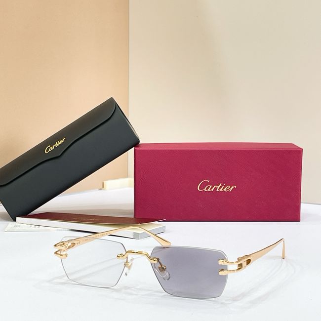 Cartier Sunglasses 821599-9