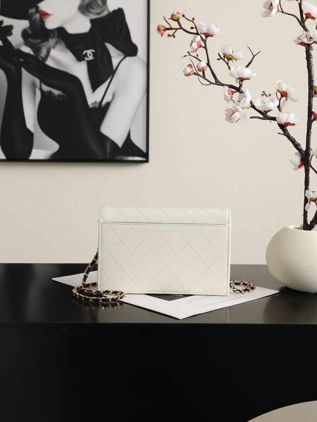 CHANEL Wallet on Chain AP5455 white&black CHANEL Wallet on Chain AP5455 white&black