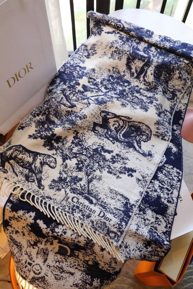 Dior cashmere scarf KY198-2 Dior cashmere scarf KY198-2