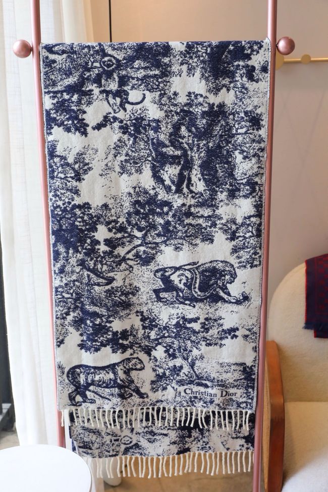Dior cashmere scarf KY198-2 Dior cashmere scarf KY198-2