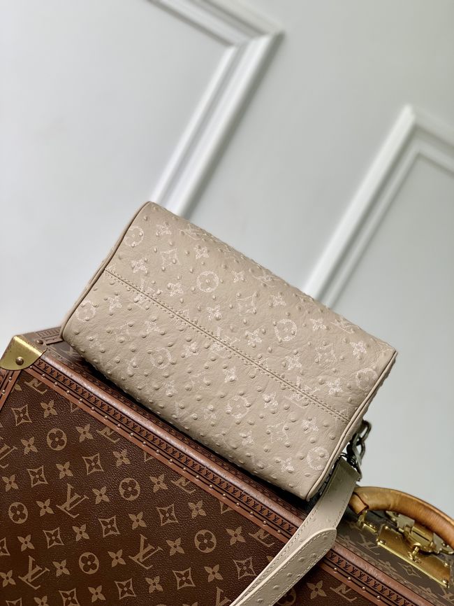 Louis Vuitton Runway Speedy P9 Bandouliere 25 M24426 Dark Beige Louis Vuitton Runway Speedy P9 Bandouliere 25 M24426 Dark Beige