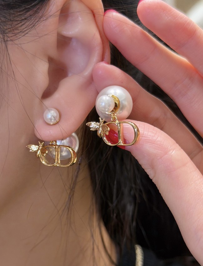 Dior Earrings CE89987