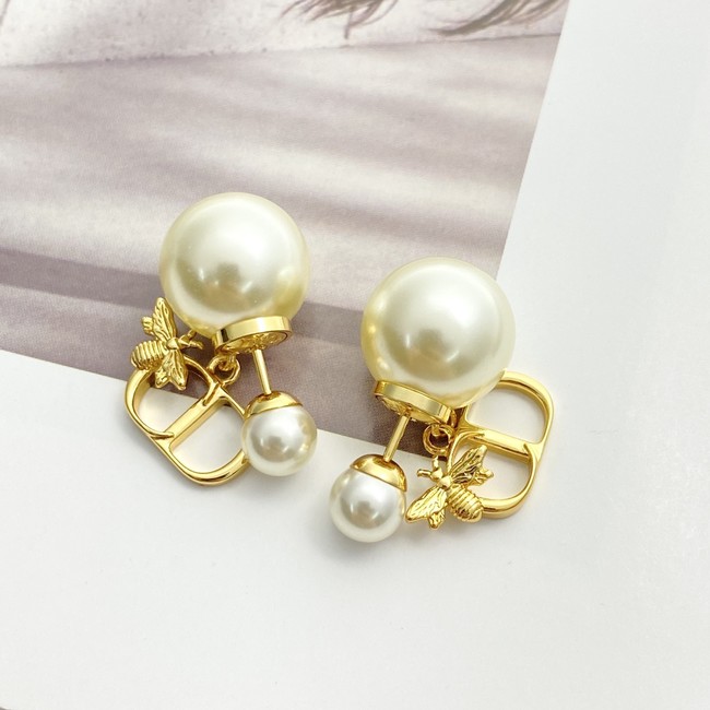 Dior Earrings CE89987