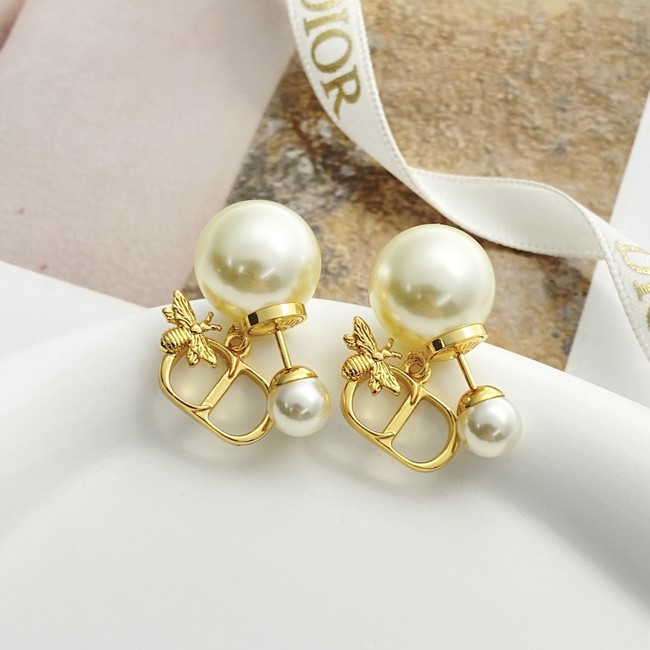 Dior Earrings CE89987