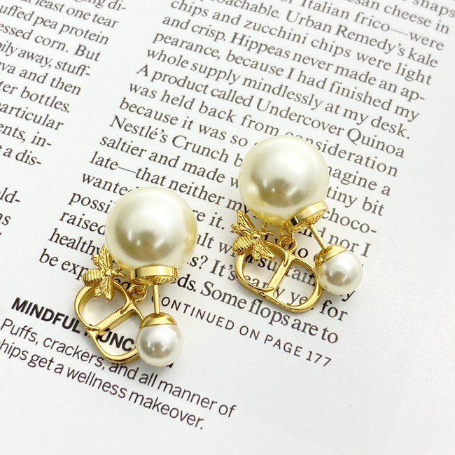 Dior Earrings CE89987