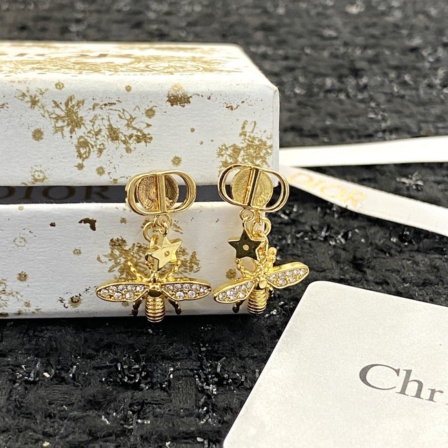 Dior Earrings CE89990