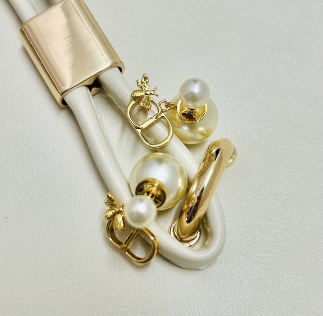 Dior Earrings CE89992 Dior Earrings CE89992
