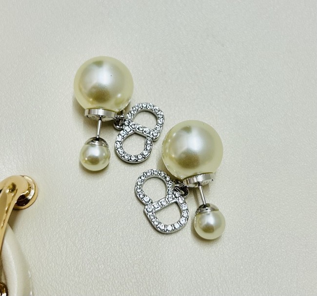 Dior Earrings CE89993 Dior Earrings CE89993