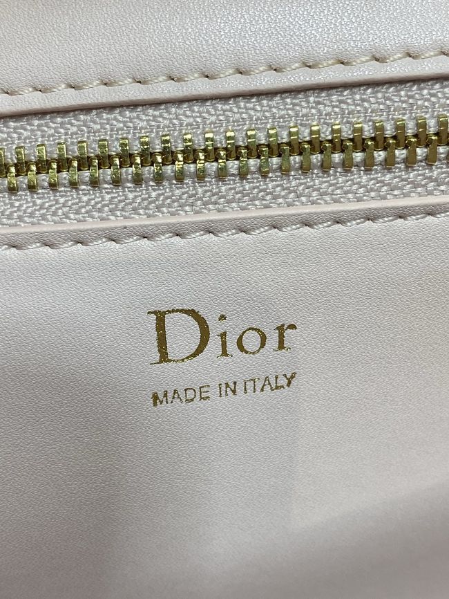 Dior Medaillon Pouch Ballet Pink Smooth Calfskin M3671 Dior Medaillon Pouch Ballet Pink Smooth Calfskin M3671