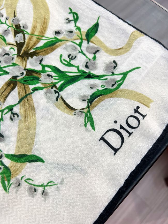 Dior Oblique Shawl L1168-1